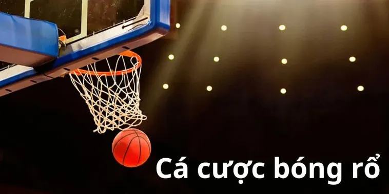 Cá Cược Bóng Rổ M788: Bí Quyết Thắng Lớn Từ Chuyên Gia